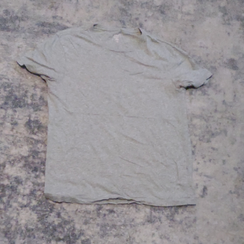 J. Crew Gray Short Sleeve Tee
